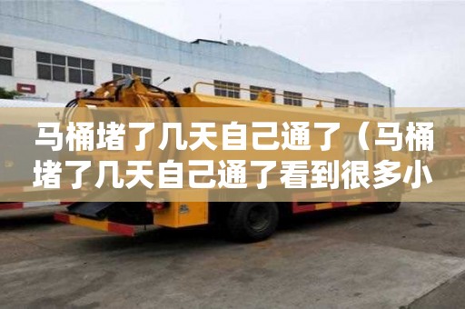 馬桶堵了幾天自己通了(馬桶堵了幾天自己通了看到很多小顆粒) 馬桶堵了幾天自己通了(馬桶堵了幾天自己通了看到很多小顆粒)