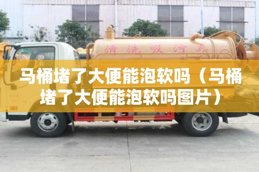 馬桶堵了大便能泡軟嗎（馬桶堵了大便能泡軟嗎圖片）