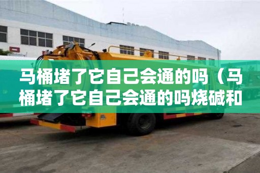 馬桶堵了它自己會通的嗎（馬桶堵了它自己會通的嗎燒堿和堿）
