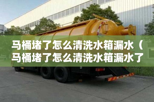 馬桶堵了怎么清洗水箱漏水（馬桶堵了怎么清洗水箱漏水了）