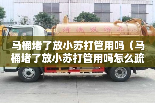 馬桶堵了放小蘇打管用嗎（馬桶堵了放小蘇打管用嗎怎么疏通）