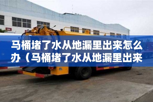馬桶堵了水從地漏里出來怎么辦（馬桶堵了水從地漏里出來怎么辦小妙招）
