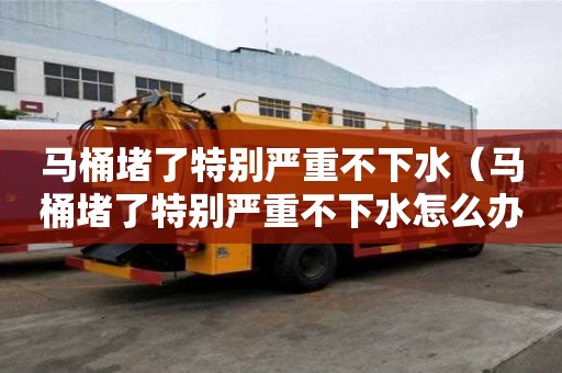 馬桶堵了特別嚴(yán)重不下水（馬桶堵了特別嚴(yán)重不下水怎么辦）