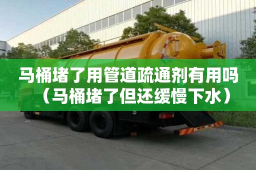 馬桶堵了用管道疏通劑有用嗎（馬桶堵了但還緩慢下水）