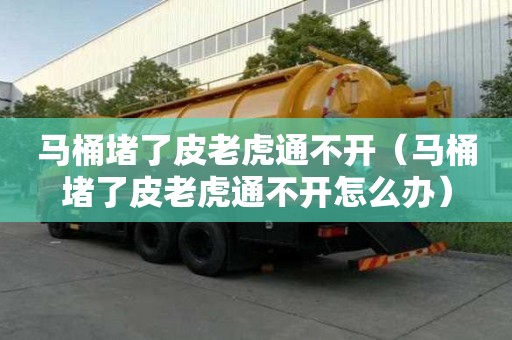 馬桶堵了皮老虎通不開（馬桶堵了皮老虎通不開怎么辦）