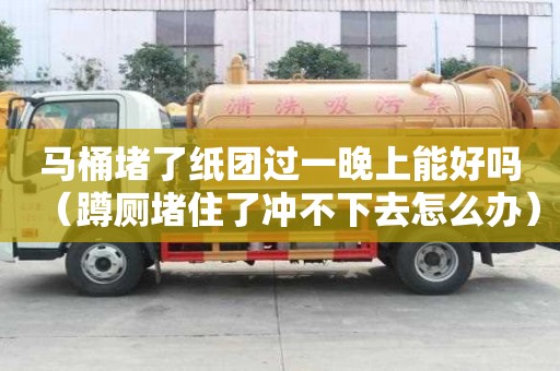 馬桶堵了紙團過一晚上能好嗎（蹲廁堵住了沖不下去怎么辦）