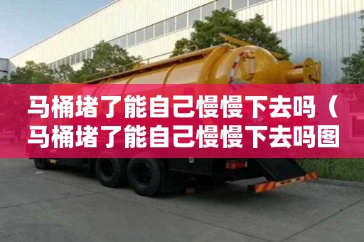 馬桶堵了能自己慢慢下去嗎（馬桶堵了能自己慢慢下去嗎圖片）