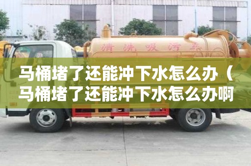 馬桶堵了還能沖下水怎么辦（馬桶堵了還能沖下水怎么辦?。? title=