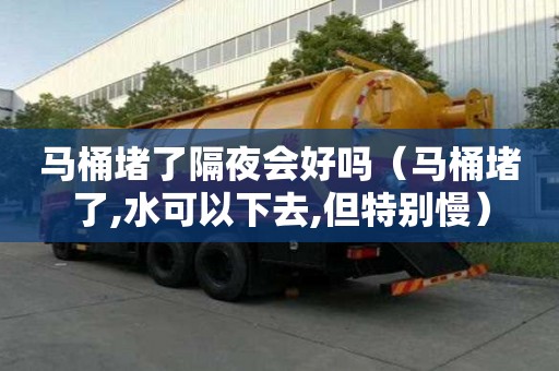 馬桶堵了隔夜會好嗎(馬桶堵了,水可以下去,但特別慢) 馬桶堵了隔夜會好嗎(馬桶堵了,水可以下去,但特別慢)