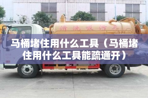馬桶堵住用什么工具（馬桶堵住用什么工具能疏通開）