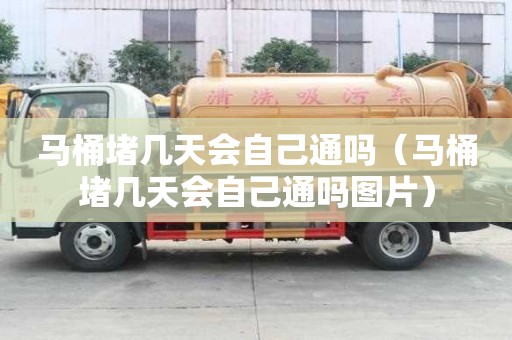 馬桶堵幾天會自己通嗎（馬桶堵幾天會自己通嗎圖片）