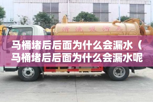 馬桶堵后后面為什么會漏水（馬桶堵后后面為什么會漏水呢）