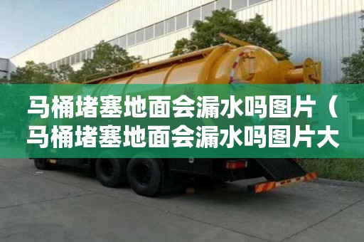 馬桶堵塞地面會漏水嗎圖片（馬桶堵塞地面會漏水嗎圖片大全）