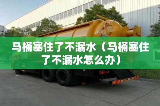 馬桶塞住了不漏水(馬桶塞住了不漏水怎么辦) 馬桶塞住了不漏水(馬桶塞住了不漏水怎么辦)