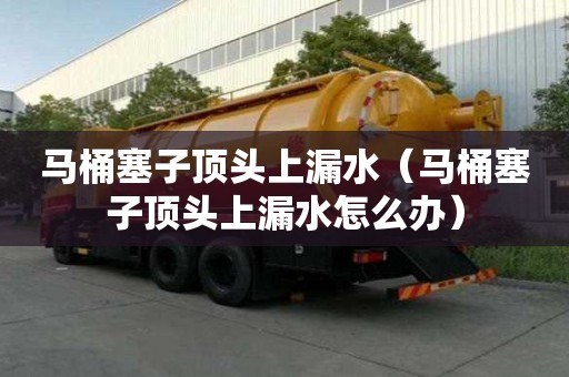 馬桶塞子頂頭上漏水（馬桶塞子頂頭上漏水怎么辦）