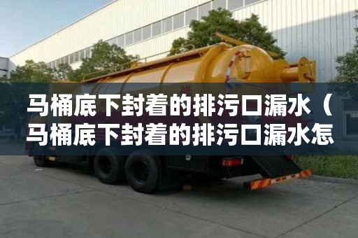 馬桶底下封著的排污口漏水（馬桶底下封著的排污口漏水怎么辦）