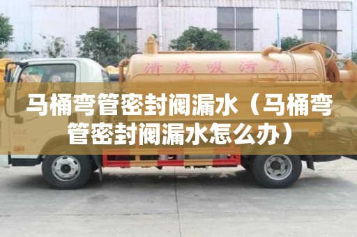 馬桶彎管密封閥漏水（馬桶彎管密封閥漏水怎么辦）