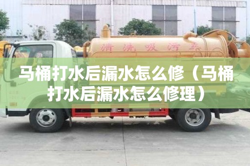 馬桶打水后漏水怎么修（馬桶打水后漏水怎么修理）