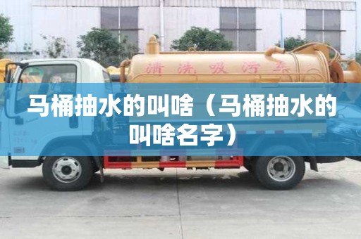 馬桶抽水的叫啥（馬桶抽水的叫啥名字）