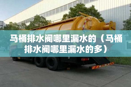 馬桶排水閥哪里漏水的（馬桶排水閥哪里漏水的多）