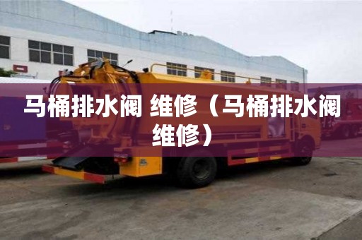 馬桶排水閥 維修（馬桶排水閥維修）