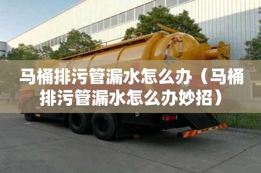 馬桶排污管漏水怎么辦（馬桶排污管漏水怎么辦妙招）