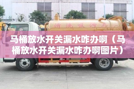 馬桶放水開關漏水咋辦啊（馬桶放水開關漏水咋辦啊圖片）