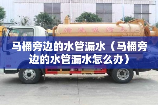 馬桶旁邊的水管漏水(馬桶旁邊的水管漏水怎么辦) 馬桶旁邊的水管漏水(馬桶旁邊的水管漏水怎么辦)