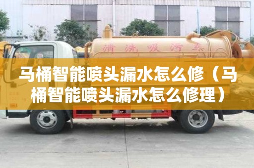 馬桶智能噴頭漏水怎么修（馬桶智能噴頭漏水怎么修理）