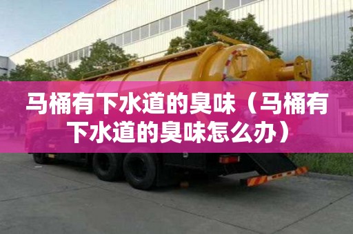 馬桶有下水道的臭味(馬桶有下水道的臭味怎么辦) 馬桶有下水道的臭味(馬桶有下水道的臭味怎么辦)