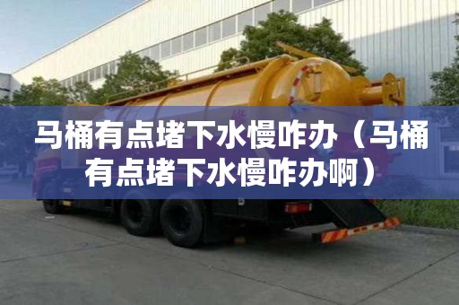 馬桶有點堵下水慢咋辦（馬桶有點堵下水慢咋辦啊）