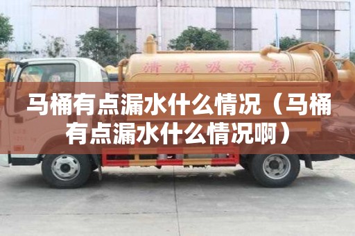 馬桶有點漏水什么情況（馬桶有點漏水什么情況啊）
