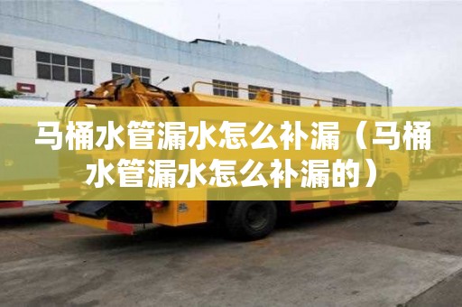 馬桶水管漏水怎么補漏(馬桶水管漏水怎么補漏的) 馬桶水管漏水怎么補漏(馬桶水管漏水怎么補漏的)
