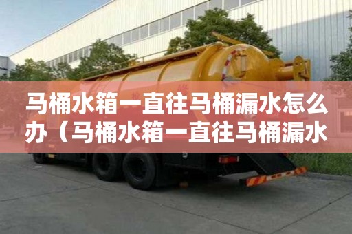 馬桶水箱一直往馬桶漏水怎么辦（馬桶水箱一直往馬桶漏水怎么辦排骨燉豆角怎么燉）