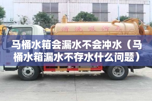 馬桶水箱會漏水不會沖水（馬桶水箱漏水不存水什么問題）
