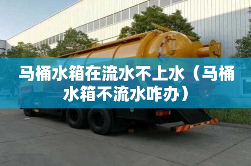 馬桶水箱在流水不上水(馬桶水箱不流水咋辦) 馬桶水箱在流水不上水(馬桶水箱不流水咋辦)