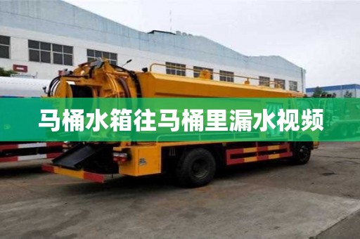 馬桶水箱往馬桶里漏水視頻