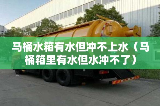 馬桶水箱有水但沖不上水（馬桶箱里有水但水沖不了）