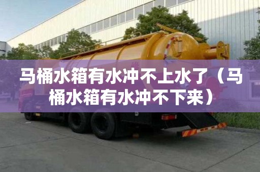 馬桶水箱有水沖不上水了（馬桶水箱有水沖不下來）