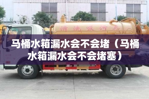 馬桶水箱漏水會不會堵（馬桶水箱漏水會不會堵塞）