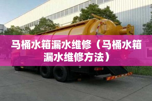 馬桶水箱漏水維修(馬桶水箱漏水維修方法) 馬桶水箱漏水維修(馬桶水箱漏水維修方法)