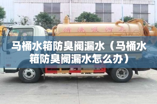 馬桶水箱防臭閥漏水(馬桶水箱防臭閥漏水怎么辦) 馬桶水箱防臭閥漏水(馬桶水箱防臭閥漏水怎么辦)