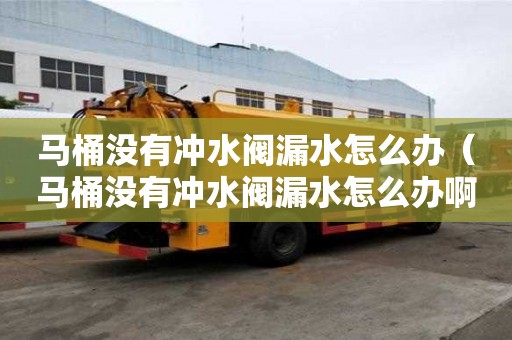 馬桶沒有沖水閥漏水怎么辦（馬桶沒有沖水閥漏水怎么辦啊）