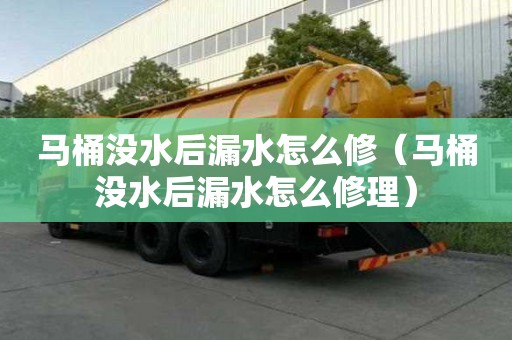 馬桶沒水后漏水怎么修（馬桶沒水后漏水怎么修理）