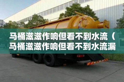 馬桶滋滋作響但看不到水流（馬桶滋滋作響但看不到水流漏水嗎）