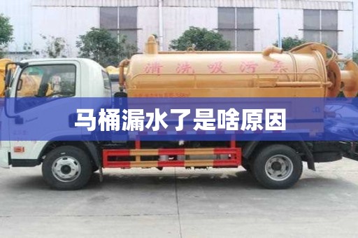 馬桶漏水了是啥原因 馬桶漏水了是啥原因