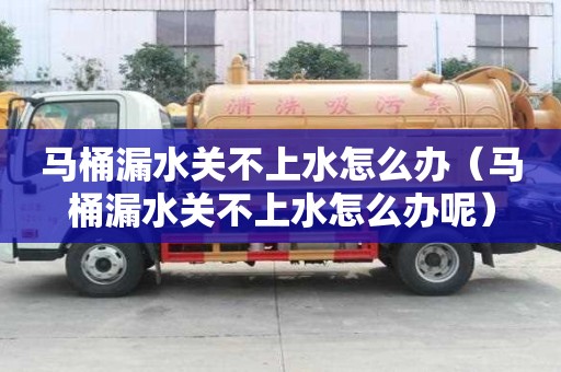 馬桶漏水關不上水怎么辦（馬桶漏水關不上水怎么辦呢）