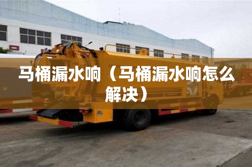 馬桶漏水響（馬桶漏水響怎么解決）
