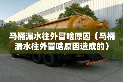 馬桶漏水往外冒啥原因（馬桶漏水往外冒啥原因造成的）
