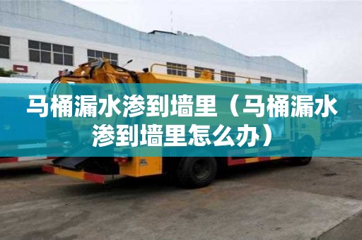 馬桶漏水滲到墻里（馬桶漏水滲到墻里怎么辦）